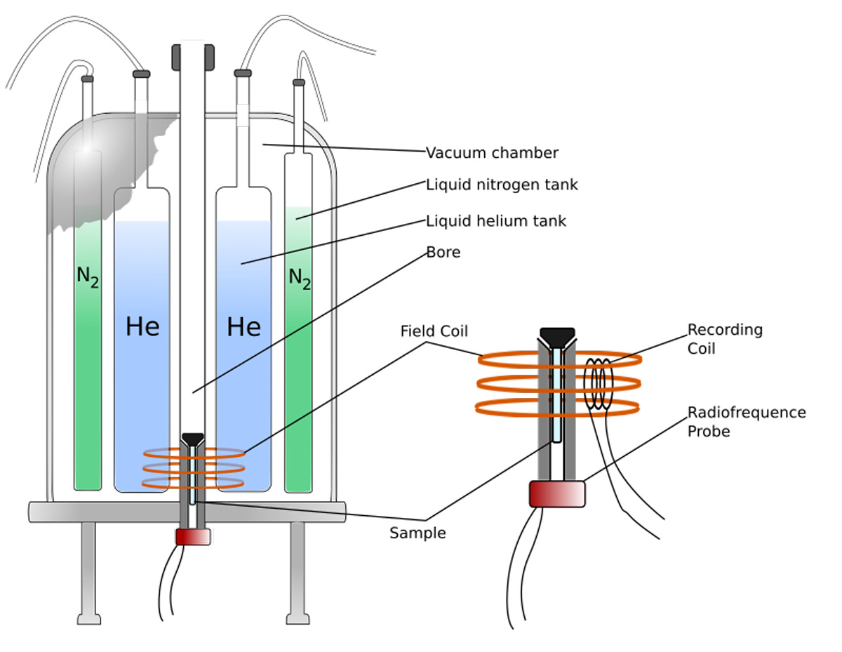 NMR spectrometer components