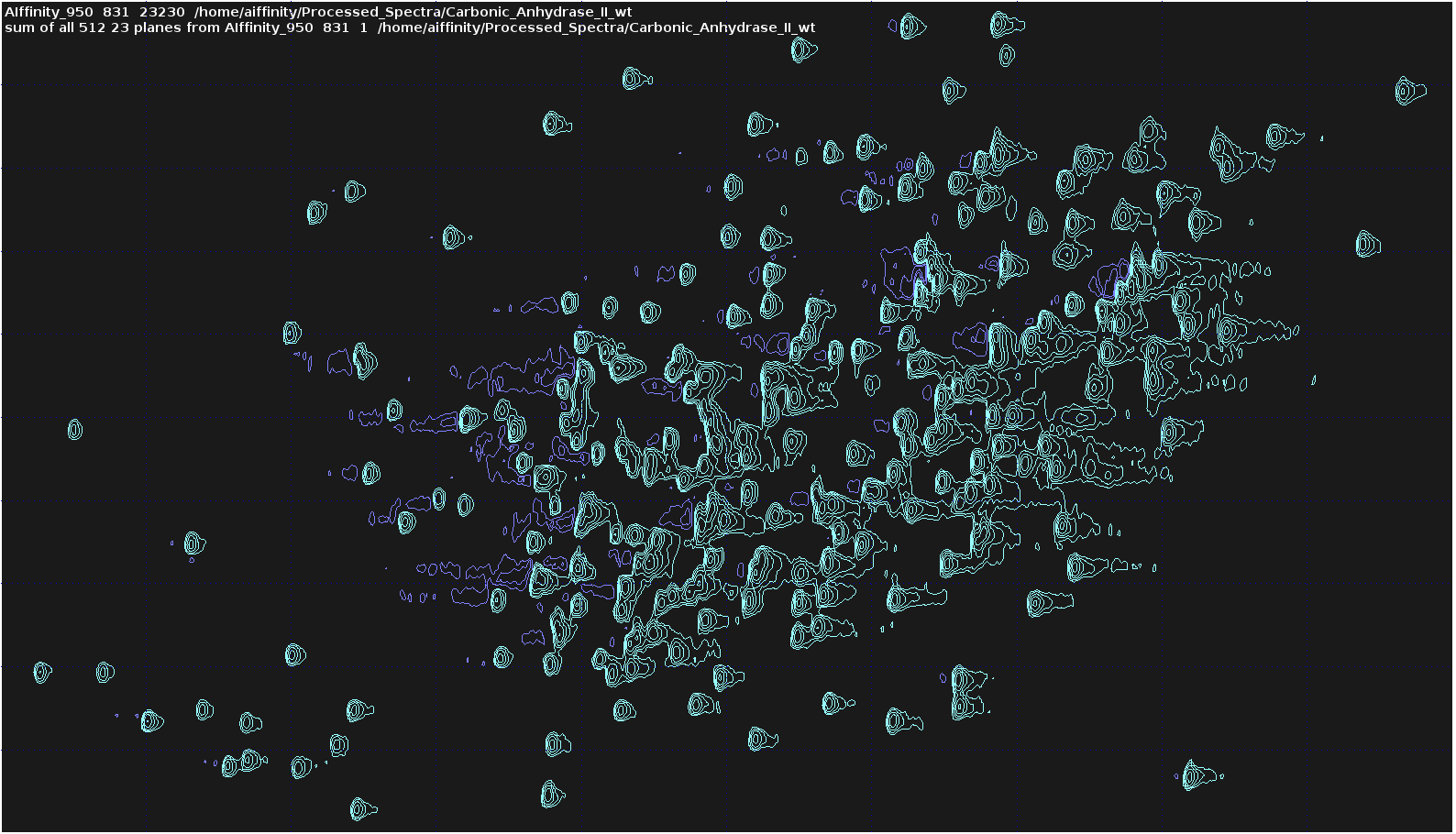 ROI 23 sum projection