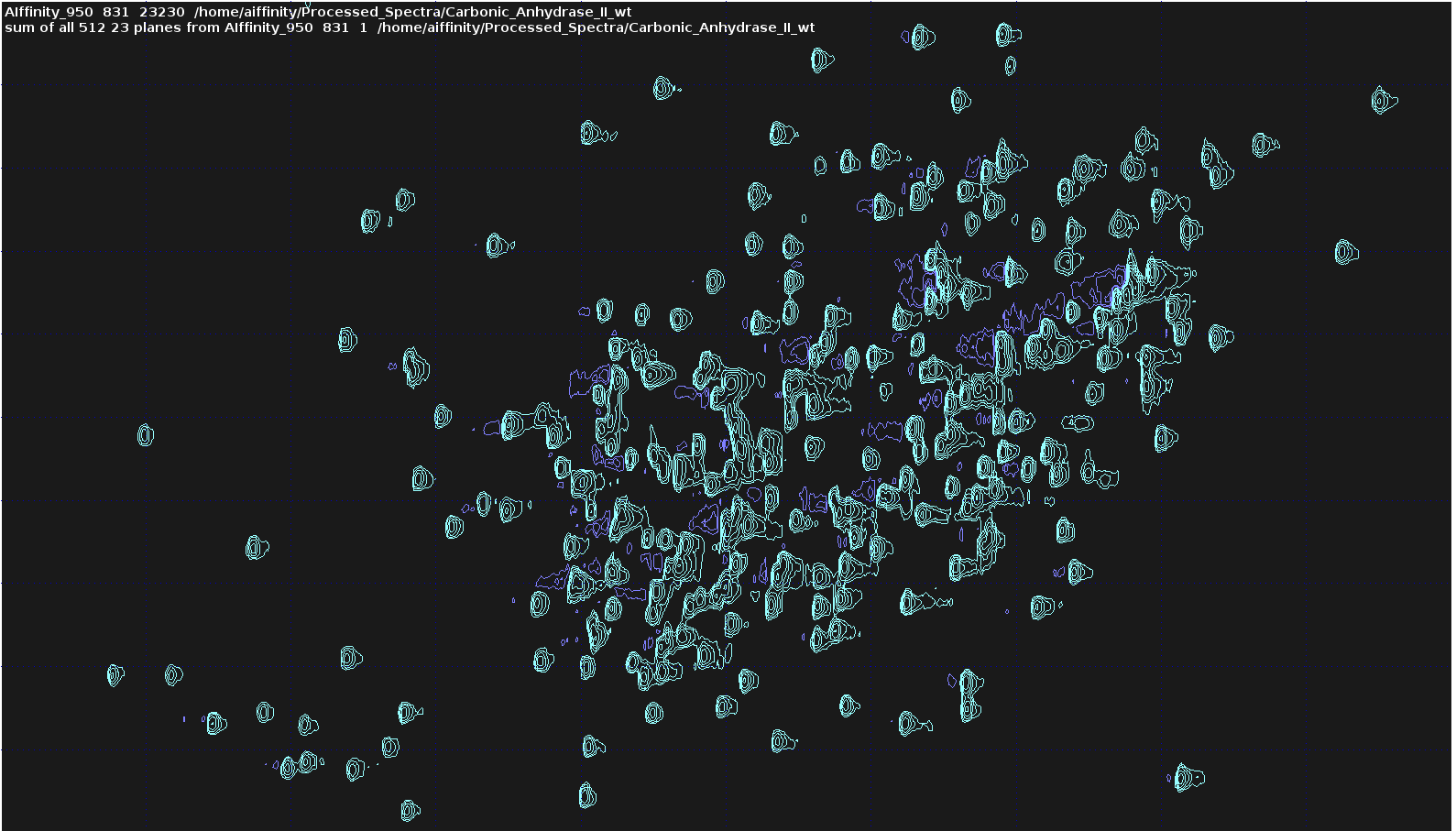 ROI 23 sum projection After Baseline Correction