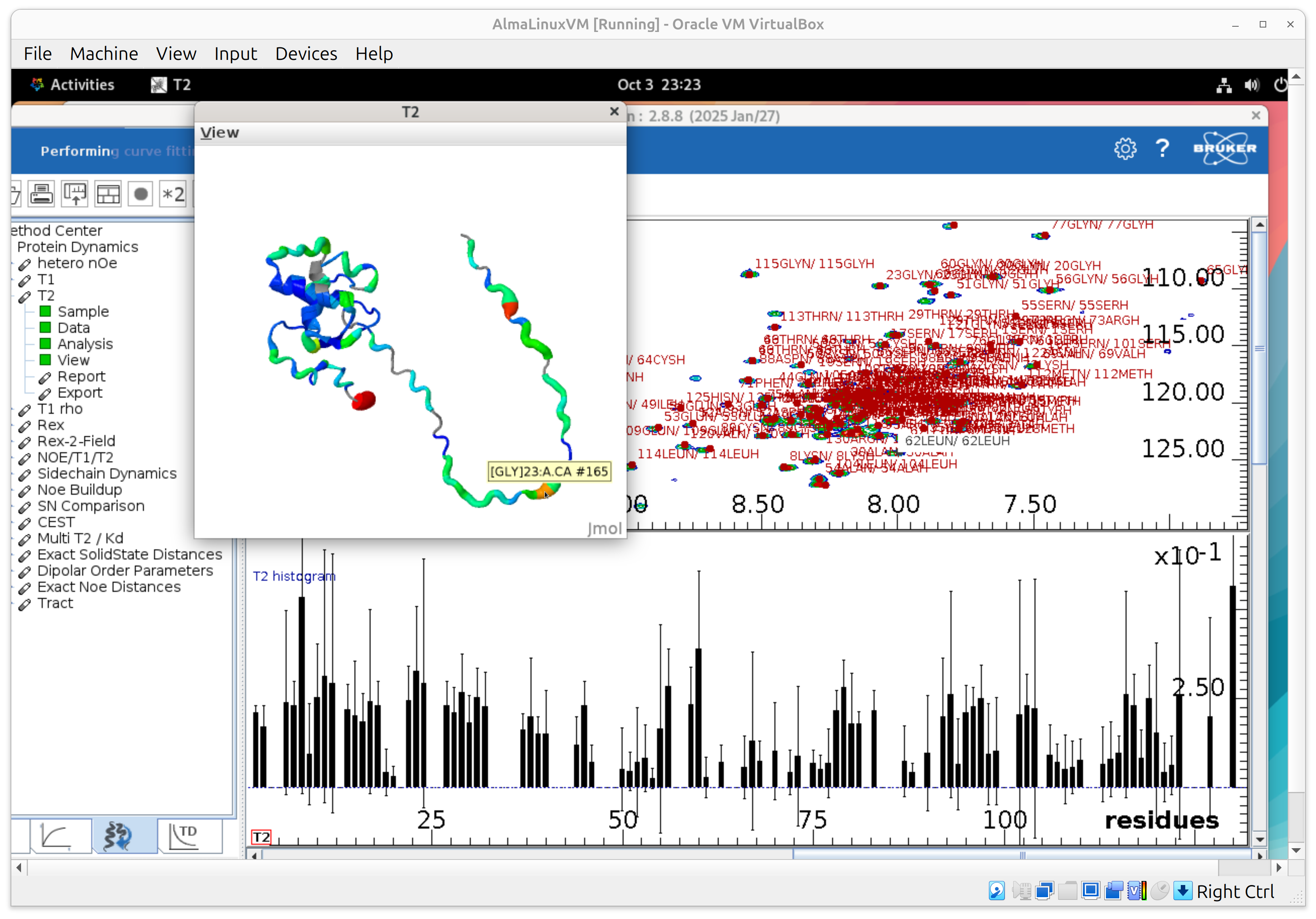 structure T2 preview